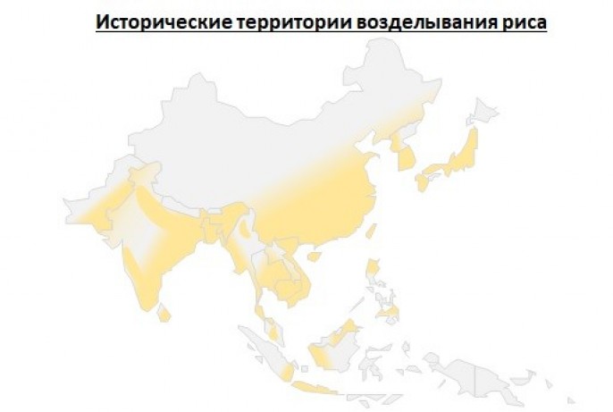 Карта выращивания риса. Основные районы выращивания риса в Азии на карте.