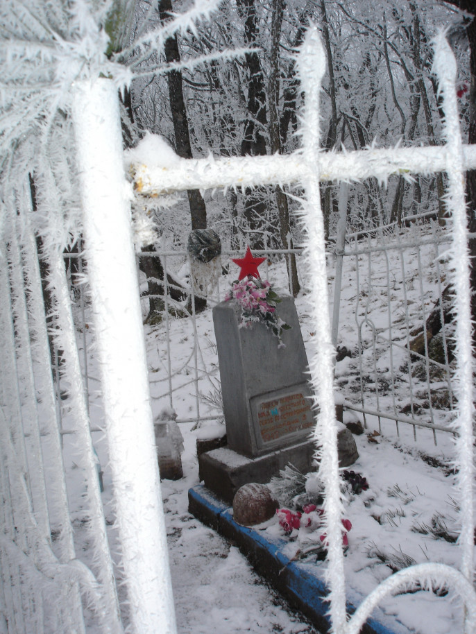 Расстрелу летчика с позывным бес в воронеже. Иловайск могила неизвестного летчика. Памятник на месте расстрела лётчиков в деревне Березино. Летчика расстреляли в Сирии 2015.