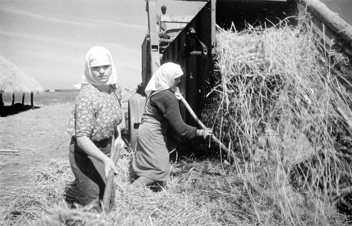 Больше всех в колхозе работала лошадь картинки