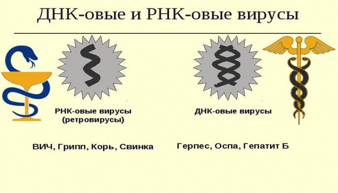 Статья: РНК-мир: у истоков жизни